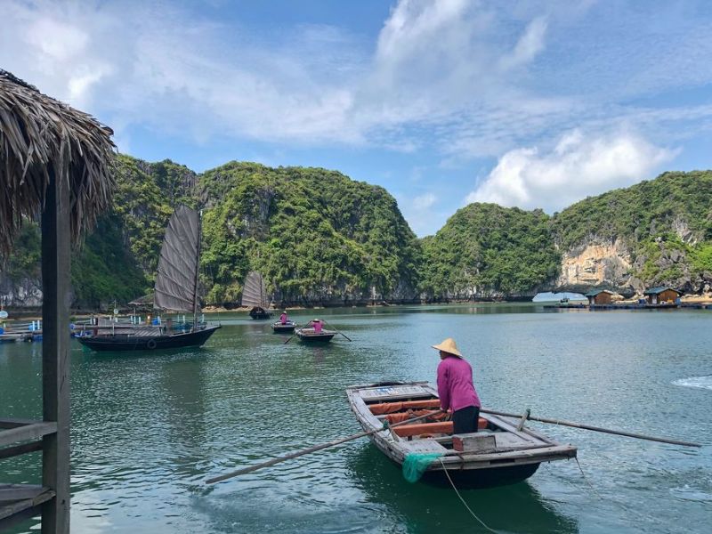 Weather Ha Long Bay January Expert Tips for Your Trip